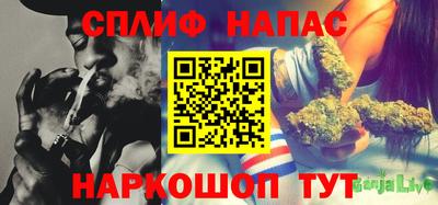 гидра Моздок