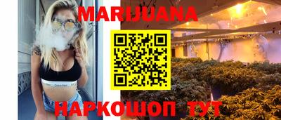 гидра Моздок