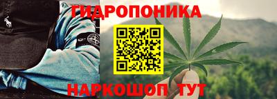 apvp Можга