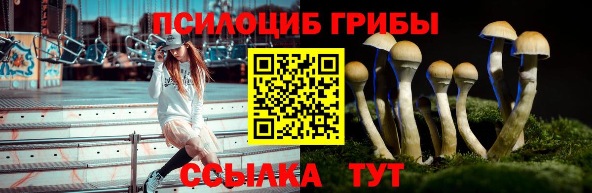 Ставрополь  Галлюциногенные грибы GOLDEN TEACHER  Вход с VPN 